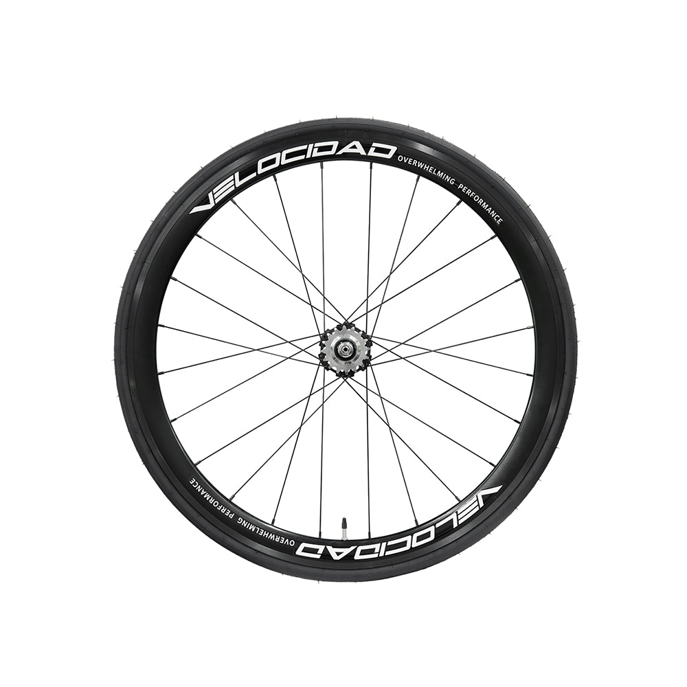 Velocidad Group Set 2025