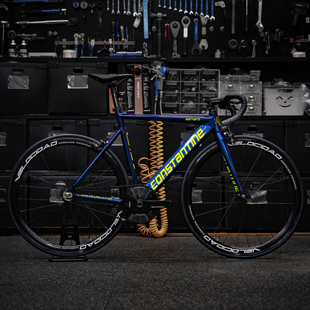 Barnard Frame Set 2025 - Chameleon Neon