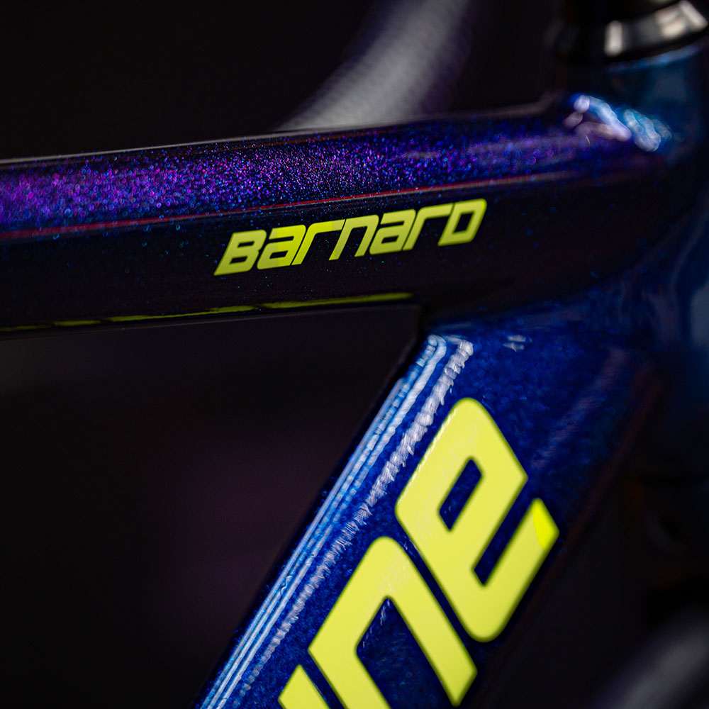 Barnard Frame Set 2025 - Chameleon Neon