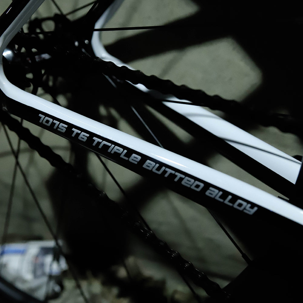 Disparar Frame Set 2024 - White / Gray