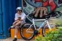 Urbane Frame Set ( Includes Original Seatpost ) - White