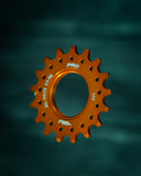 Velocidad Cog - Gold