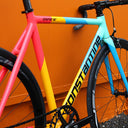 Disparar Frame Set - Tropical
