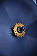 Velocidad Cog - Gold